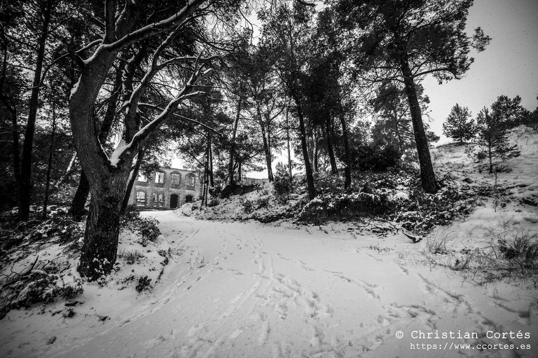 Nieve en Alicante 02